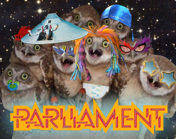 A group of baby owls dressed up as the funk band Parliament. Get it?